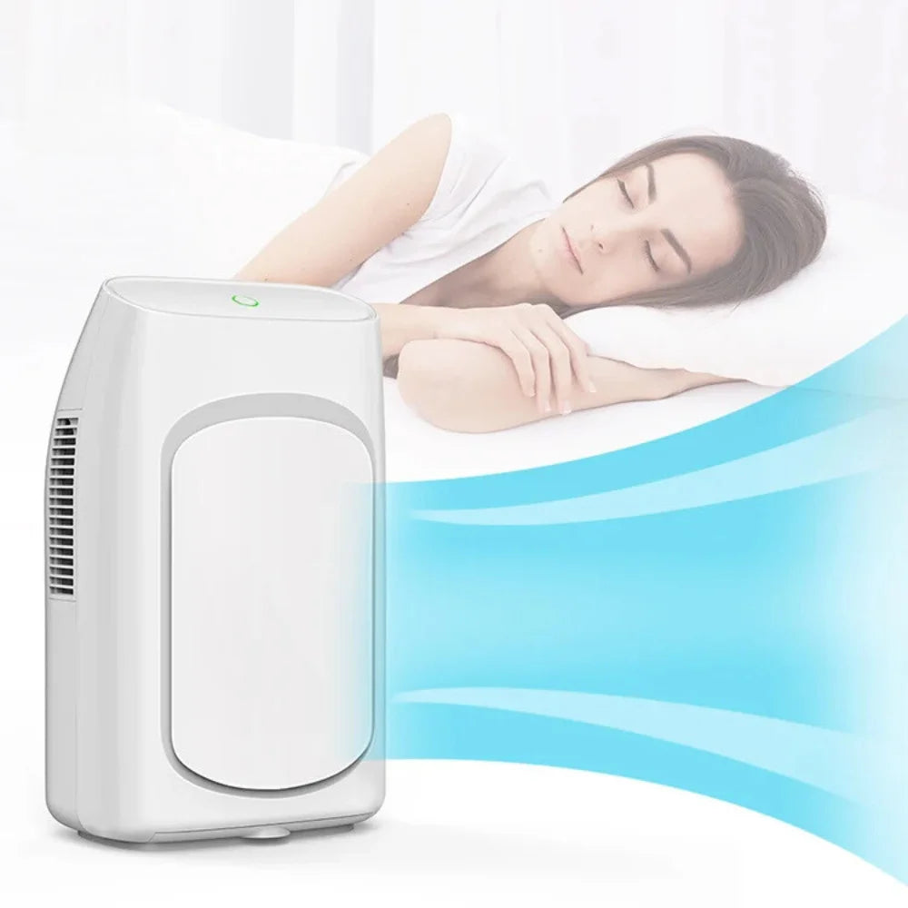 Mini Peltier Dehumidifier 750ml