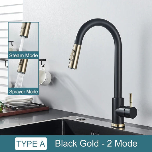 Kitchen Faucet with Pull-Down Spray