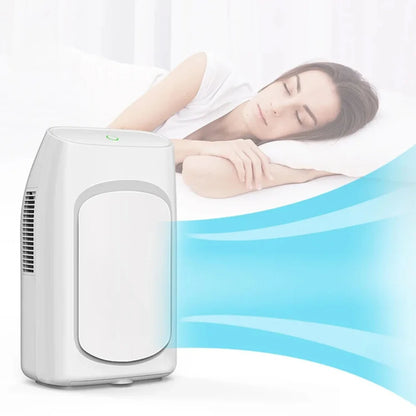 Mini Peltier Dehumidifier 750ml