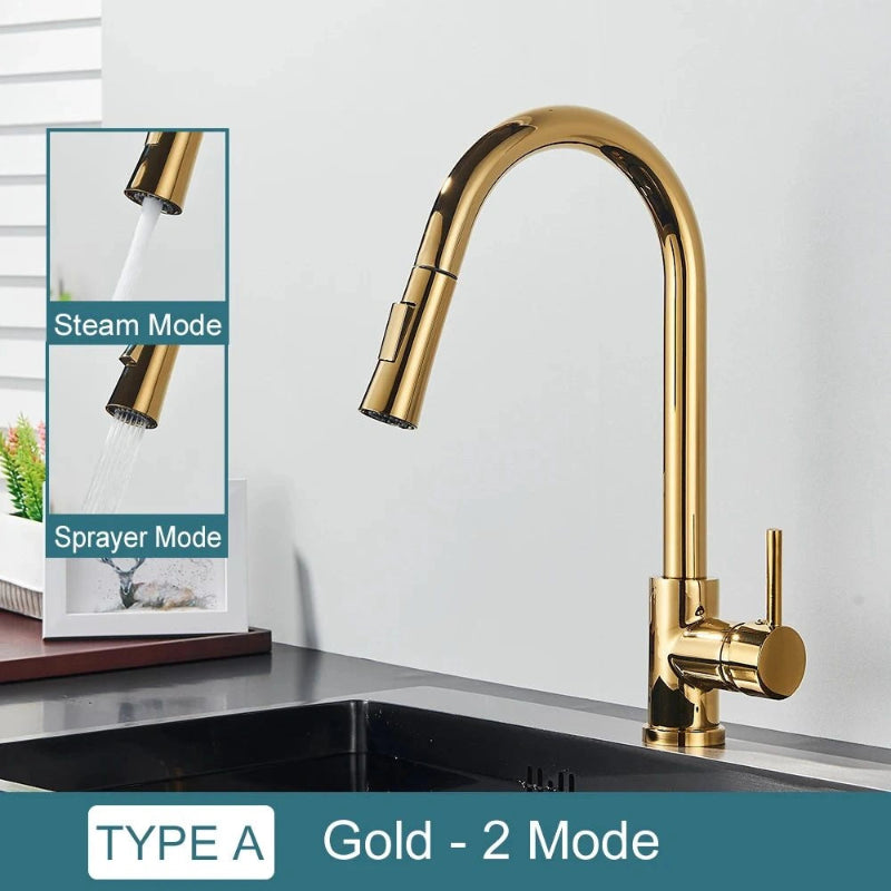 Pull-Down Kitchen Faucet with Dual Modes & Dual Handle type a gold