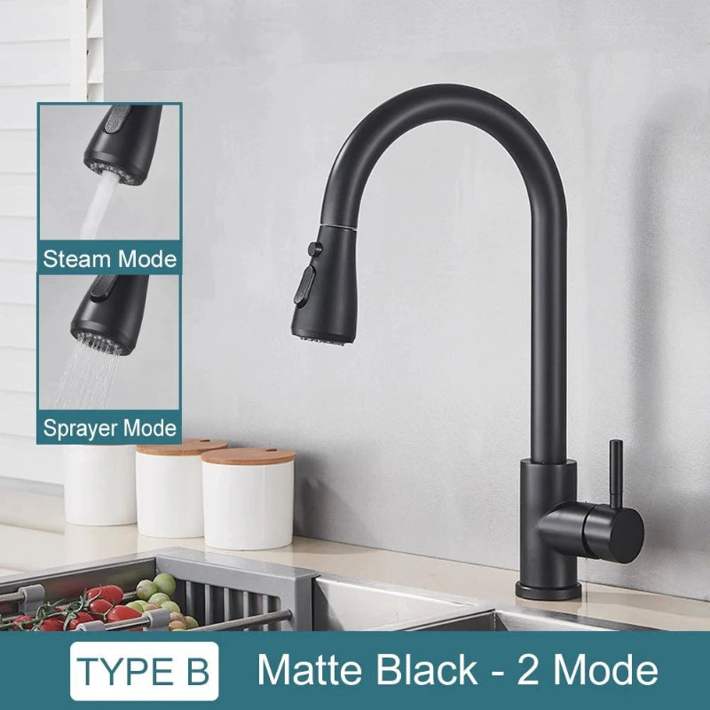Pull-Down Kitchen Faucet with Dual Modes & Dual Handle type a matte black