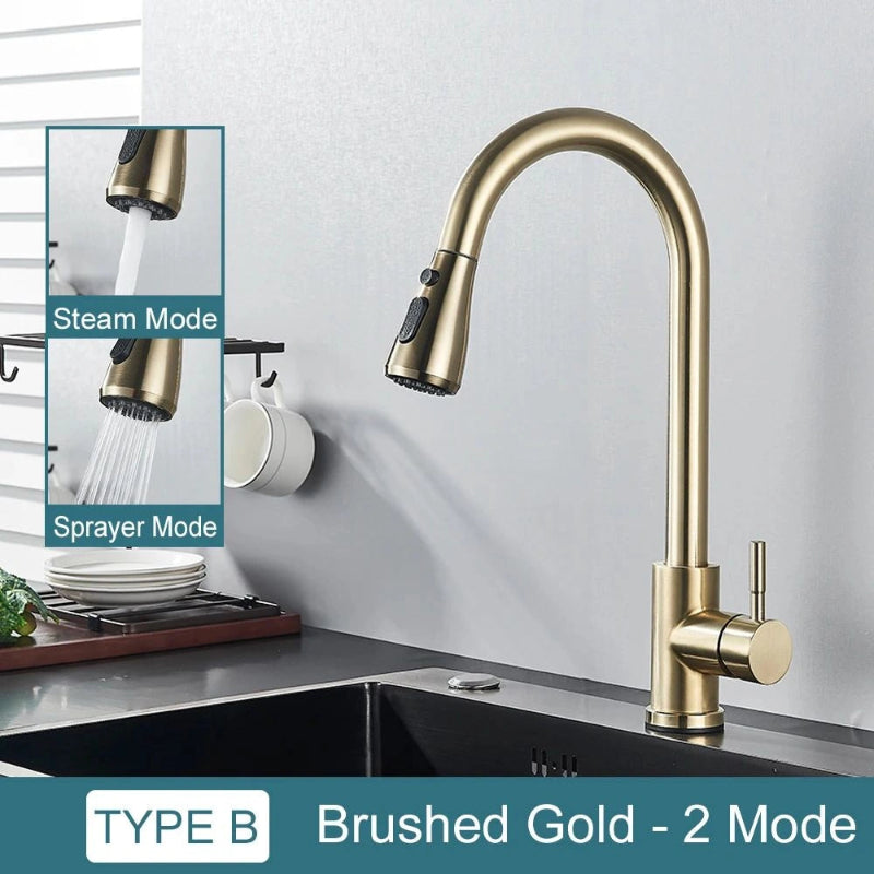 Pull-Down Kitchen Faucet with Dual Modes & Dual Handle type b brushed gol