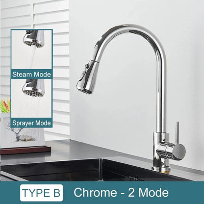 Pull-Down Kitchen Faucet with Dual Modes & Dual Handle type b chrome