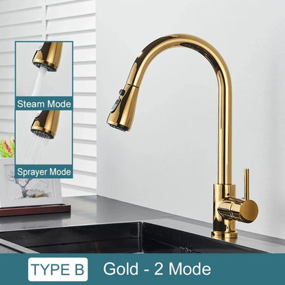 Pull-Down Kitchen Faucet with Dual Modes & Dual Handle type b gold