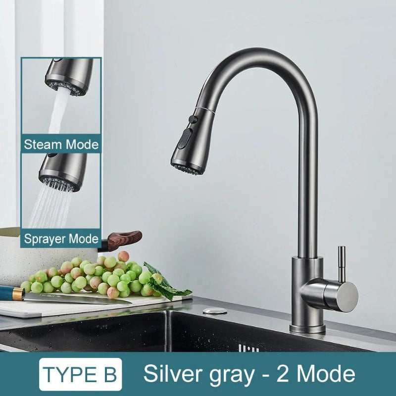Pull-Down Kitchen Faucet with Dual Modes & Dual Handle type b silver gray