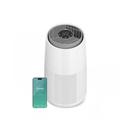 Smart Air Purifier with Air Quality Sensor