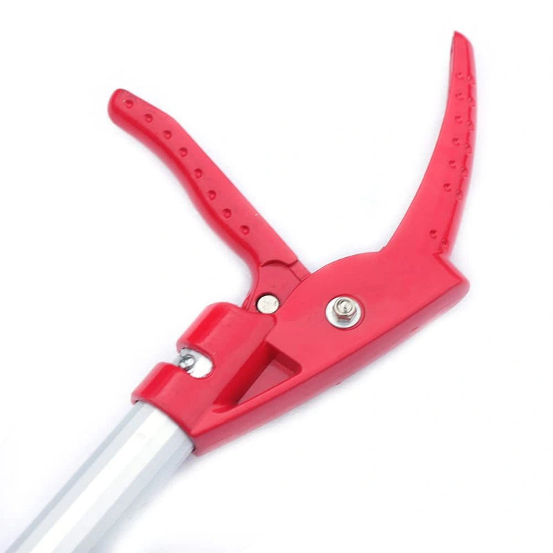 Telescopic Tree Pruner & fruit shear - Extendable & Lightweight3