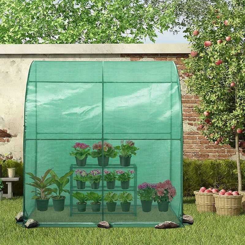 Walk-In Greenhouse Weatherproof & Tool-Free Assembly4